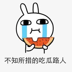 忧郁吃瓜,揭秘瓜农的喜怒哀乐